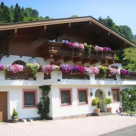 Apartment Gaestehaus Holzer