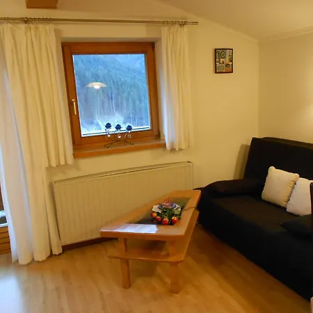 Apartment Gaestehaus Holzer Viehhofen